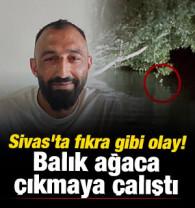 Sivas'ta fıkra gibi olay! Balık ağaca &ccedil;ıkmaya &ccedil;alıştı  