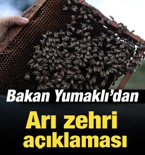Bakan Yumaklı&rsquo;dan arı zehri a&ccedil;ıklaması: Daha iyi noktaya taşıyacak!