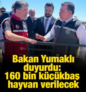 Bakan Yumaklı duyurdu: 160 bin k&uuml;&ccedil;&uuml;kbaş hayvan verilecek