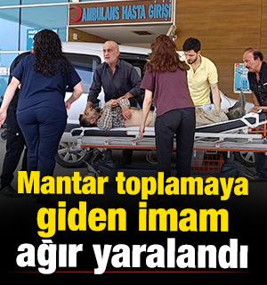 Bursa'da mantar toplamaya giden imam ağır yaralandı 