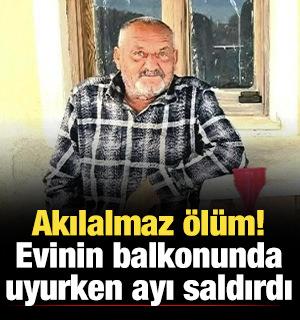 Evinin balkonunda uyurken ayı saldırdı: Yaşlı adam hayatını kaybetti!