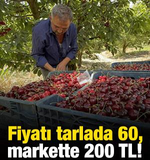 Fiyatı tarlada 60, markette 200 TL!