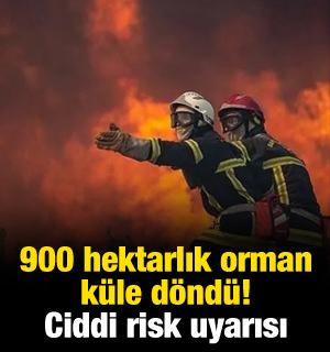 Fransa'da 900 hektarlık orman k&uuml;le d&ouml;nd&uuml;