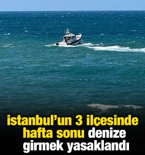 İstanbul'un 3 il&ccedil;esinde hafta sonu denize girmek yasaklandı