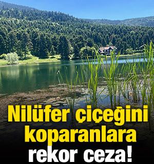 Nil&uuml;fer &ccedil;i&ccedil;eğini koparanlara rekor ceza!