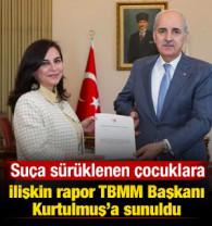 Su&ccedil;a s&uuml;r&uuml;klenen &ccedil;ocuklara ilişkin araştırma komisyonu, raporunu TBMM Başkanı'na sundu