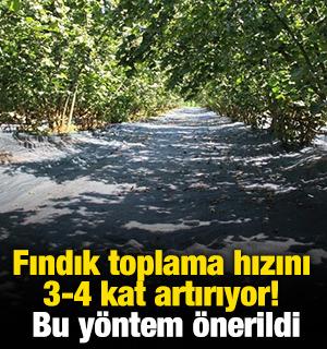 Fındık toplama hızını 3-4 kat artırıyor! Bu y&ouml;ntem &ouml;nerildi