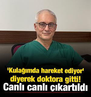 'Kulağımda hareket ediyor' diyerek doktora gitti! Canlı canlı &ccedil;ıkartıldı 
