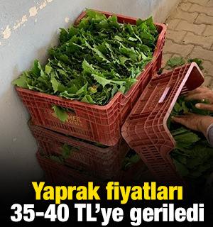Yaprak fiyatları 35-40 TL'ye geriledi