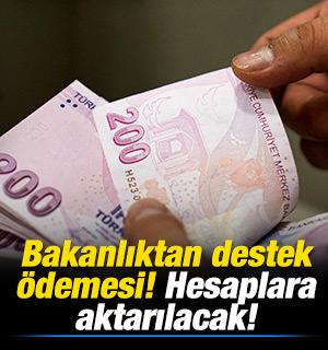 Bakanlıktan destek &ouml;demesi! Hesaplara aktarılacak