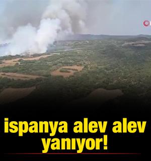 İspanya alev alev yanıyor! 