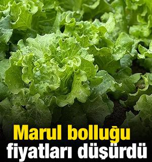 Marul bolluğu fiyatları d&uuml;ş&uuml;rd&uuml;
