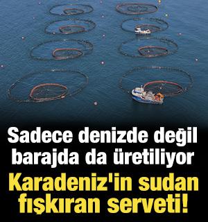Sadece denizde değil barajda da &uuml;retiliyor: Karadeniz'in sudan fışkıran serveti!