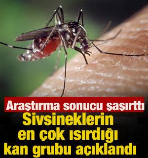 Sivsineklerin en &ccedil;ok ısırdığı  kan grubu a&ccedil;ıklandı