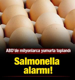 ABD'de salmonella alarmı: Milyonlarca yumurta toplandı