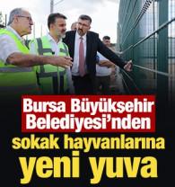 Bursa B&uuml;y&uuml;kşehir Belediyesi'nden sokak hayvanlarına yeni yuva