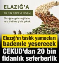 Elazığ'ın taşlık yama&ccedil;ları bademle yeşerecek: &Ccedil;EKUD'dan 20 bin fidanlık seferberlik