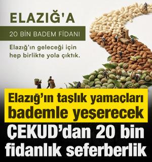 Elazığ'ın taşlık yama&ccedil;ları bademle yeşerecek: &Ccedil;EKUD'dan 20 bin fidanlık seferberlik
