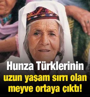Hunza T&uuml;rklerinin uzun yaşam sırrı olan meyve ortaya &ccedil;ıktı