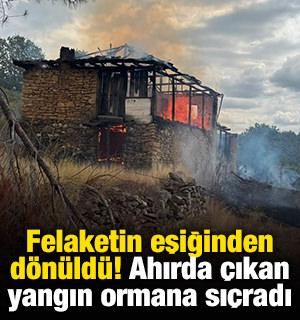 Felaketin eşiğinden d&ouml;n&uuml;ld&uuml;! Ahırda &ccedil;ıkan yangın ormana sı&ccedil;radı
