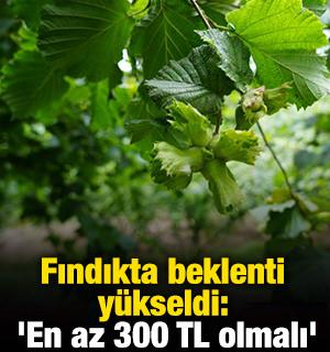 Fındıkta beklenti y&uuml;kseldi: 'En az 300 TL olmalı'
