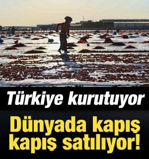 T&uuml;rkiye&rsquo;de kurutuluyor, d&uuml;nyada baş tacı ediliyor! 91 &uuml;lkenin vazge&ccedil;ilmezi oldu
