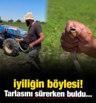 İyiliğin b&ouml;ylesi! Tarlasını s&uuml;rerken buldu... Zarar vermemek i&ccedil;in &ccedil;ıplak elle yakaladı
