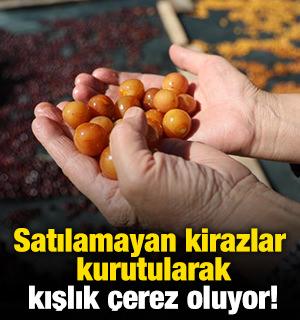 Satılamayan kirazlar kurutularak kışlık &ccedil;erez oluyor!