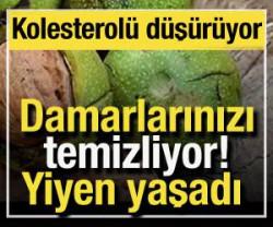 Damarlarınızı temizliyor: Yiyen yaşadı! Kolesterol&uuml; d&uuml;ş&uuml;r&uuml;yor