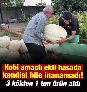 Hobi ama&ccedil;lı ekti hasada kendisi bile inanamadı! 3 k&ouml;kten 1 ton &uuml;r&uuml;n aldı 