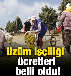 &Uuml;z&uuml;m iş&ccedil;iliği &uuml;cretleri belli oldu!