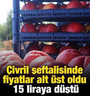 &Ccedil;ivril şeftalisinde fiyatlar alt &uuml;st oldu! 15 liraya d&uuml;şt&uuml;
