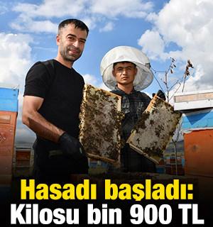 Hasadı başladı: Kilosu bin 900 TL