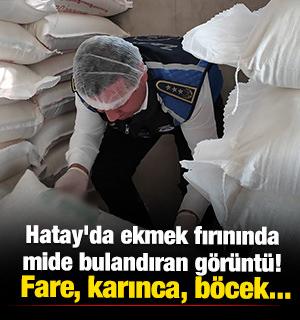 Hatay'da ekmek fırınında mide bulandıran g&ouml;r&uuml;nt&uuml;! Fare, karınca, b&ouml;cek...
