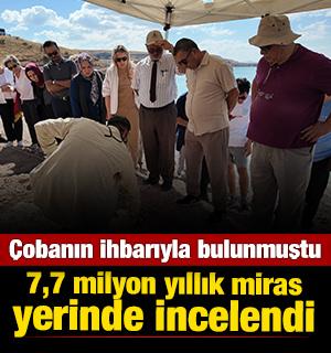 Kayseri'de bulunan 7,7 milyonluk fosiller yerinde incelendi 