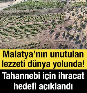 Malatya&rsquo;nın unutulan lezzeti d&uuml;nya yolunda! Tahannebi i&ccedil;in ihracat hedefi a&ccedil;ıklandı
