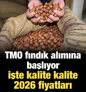 TMO fındık alımına başlıyor: İşte kalite kalite 2026 fiyatları