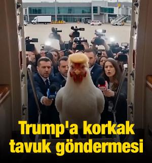 Trump'a korkak tavuk g&ouml;ndermesi