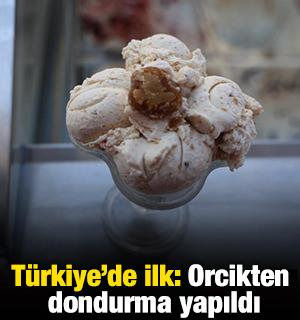 T&uuml;rkiye&rsquo;de ilk: Orcikten dondurma yapıldı