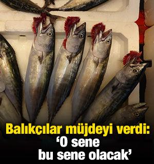 Balık&ccedil;ılar m&uuml;jdeyi verdi: "O sene bu sene olacak"