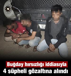 Buğday hırsızlığı iddiasıyla 4 ş&uuml;pheli g&ouml;zaltına alındı