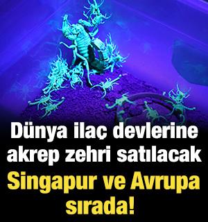 D&uuml;nya ila&ccedil; devlerine akrep zehri satılacak: Singapur ve Avrupa sırada! 