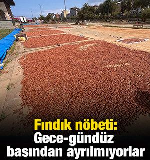 Fındık n&ouml;beti: Gece-g&uuml;nd&uuml;z başından ayrılmıyorlar