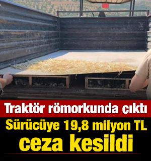 Hatay'da trakt&ouml;r r&ouml;morkunda binlerce saka kuşu &ccedil;ıktı! S&uuml;r&uuml;c&uuml;ye 19,8 milyon TL ceza kesildi
