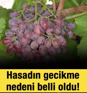Manisa&rsquo;da Sultani &uuml;z&uuml;m hasadı başladı: Gecikmenin nedeni belli oldu