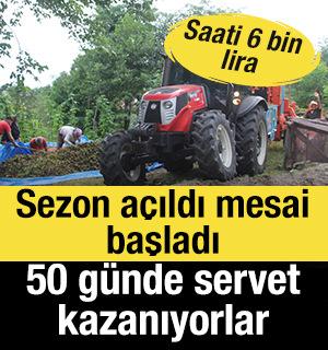 Sezon a&ccedil;ıldı mesai başladı! 50 g&uuml;nde servet kazandıran meslek: Saati 6 bin lira