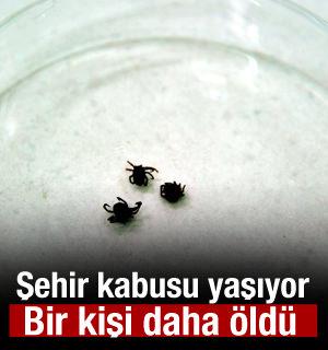 Kene bir can daha aldı! Şehirde kabus gitgide b&uuml;y&uuml;yor