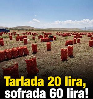 Tarlada 20 lira, sofrada 60 lira!