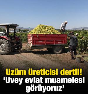 &Uuml;z&uuml;m &uuml;reticisi dertli! '&Uuml;vey evlat muamelesi g&ouml;r&uuml;yoruz'
