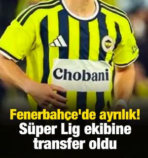 Fenerbah&ccedil;e'de ayrılık! S&uuml;per Lig ekibine transfer oldu